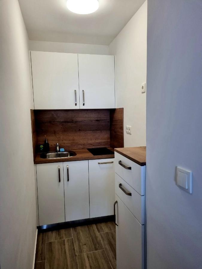 Appartamento Apartman Zlatan Sveta Nedelja  Esterno foto